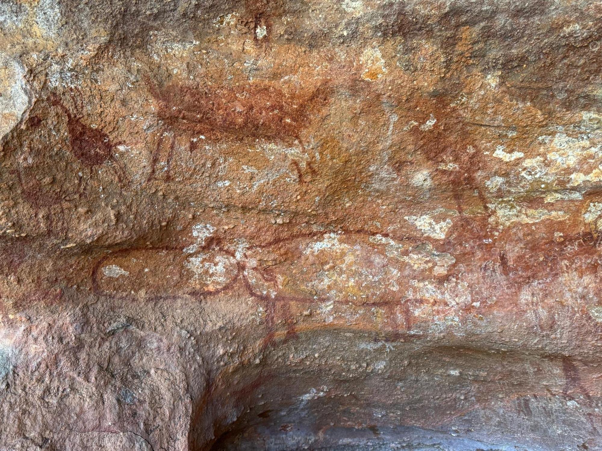 Casa Barreirinho Parque Nacional Serra Da Capivara Coronel Jose Dias Eksteriør bilde