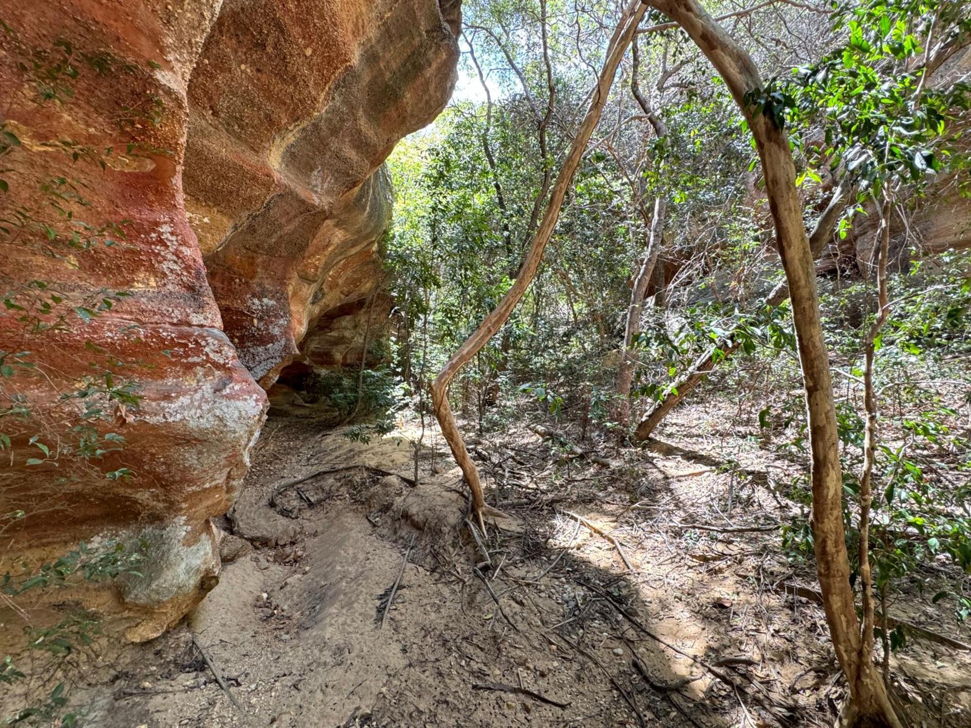 Casa Barreirinho Parque Nacional Serra Da Capivara Coronel Jose Dias Eksteriør bilde