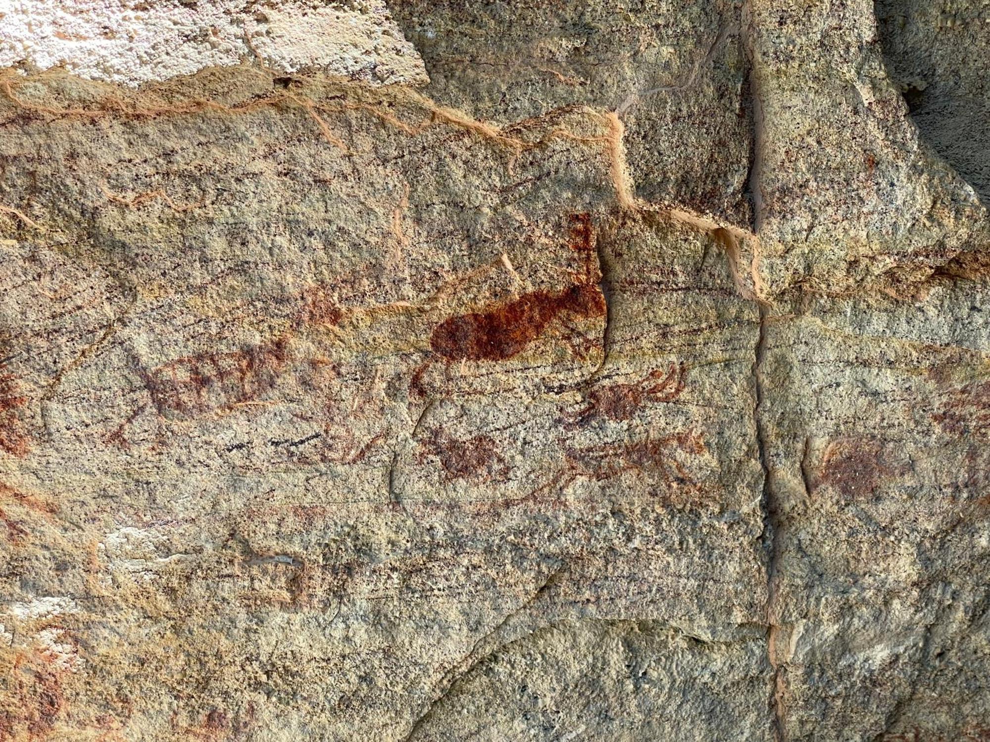 Casa Barreirinho Parque Nacional Serra Da Capivara Coronel Jose Dias Eksteriør bilde