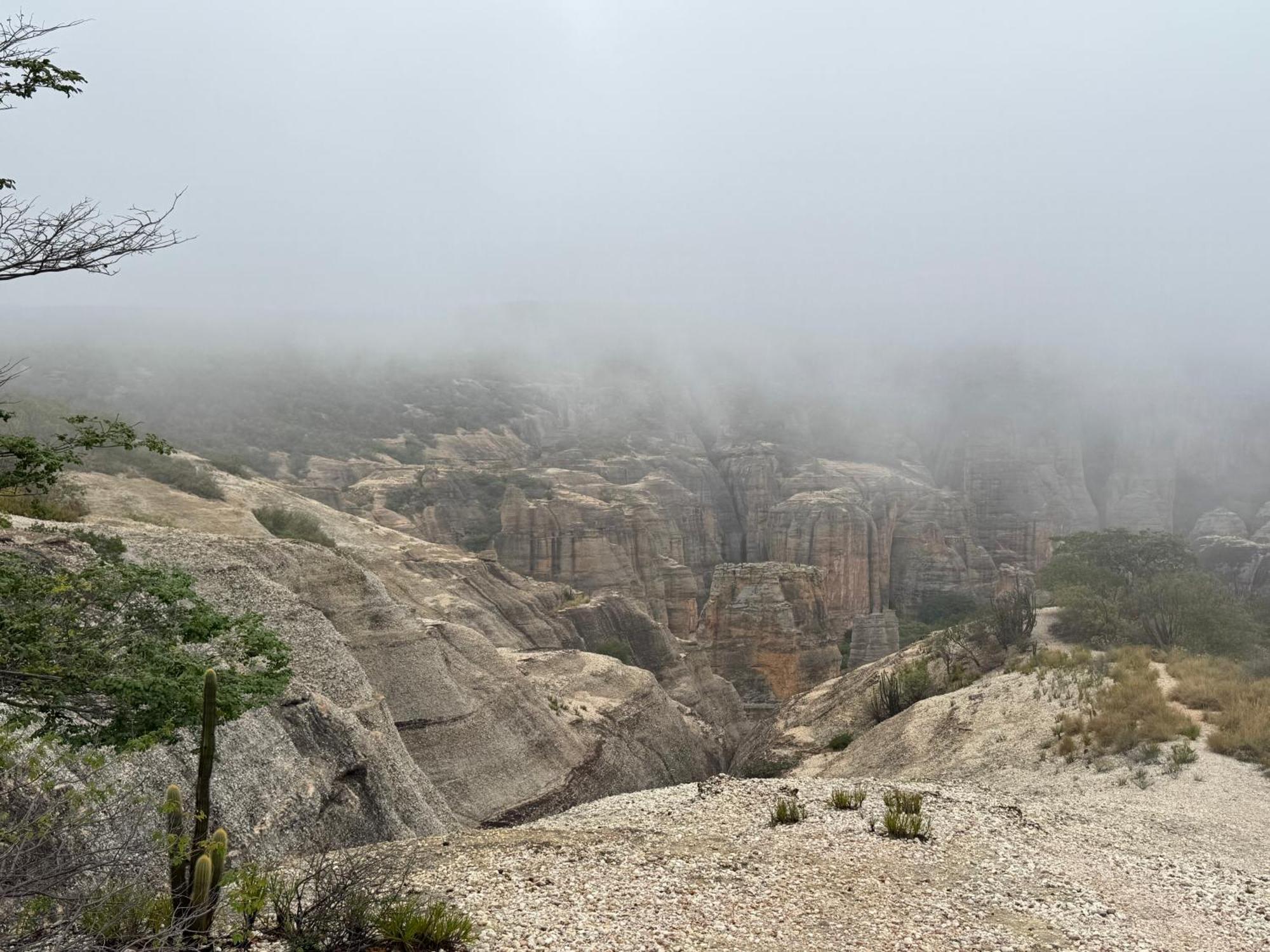 Casa Barreirinho Parque Nacional Serra Da Capivara Coronel Jose Dias Eksteriør bilde