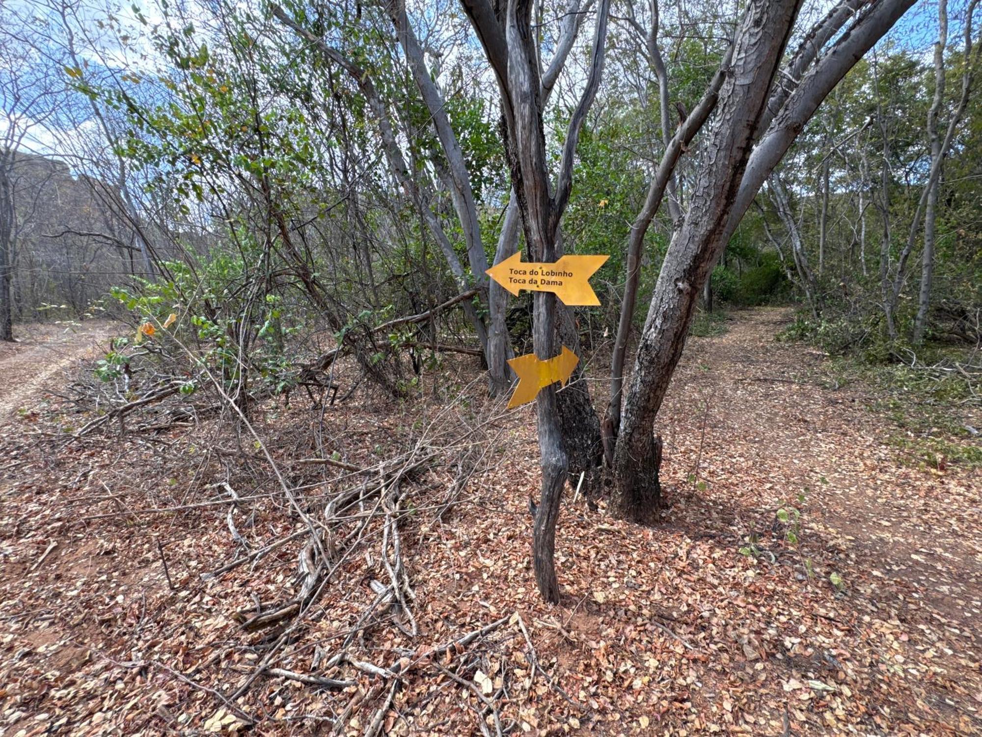Casa Barreirinho Parque Nacional Serra Da Capivara Coronel Jose Dias Eksteriør bilde