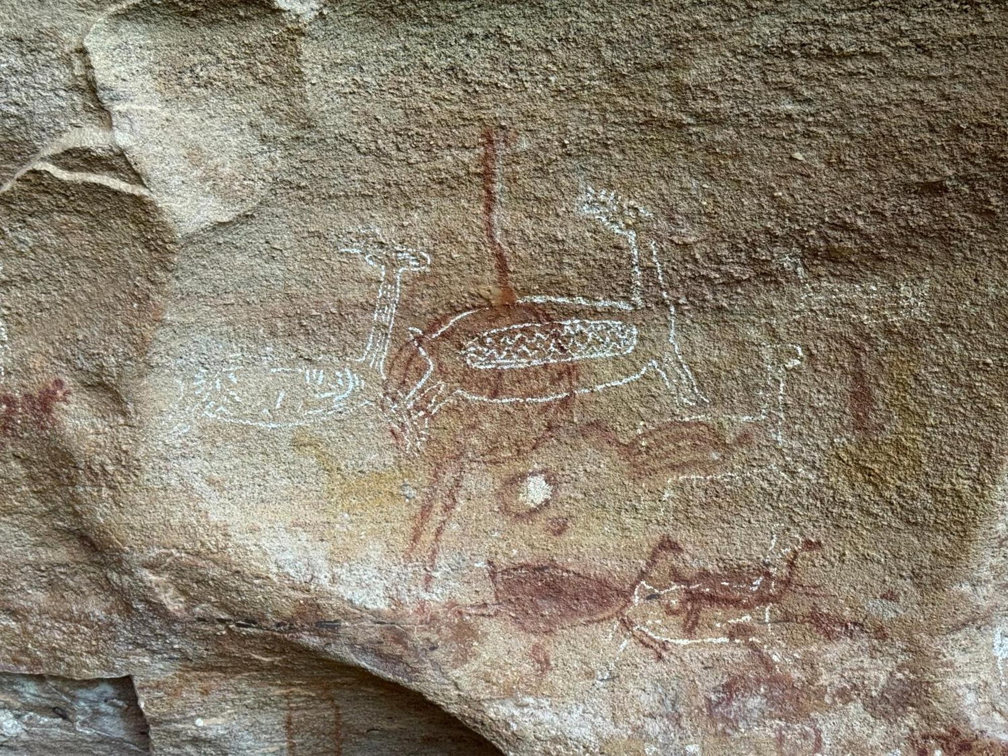 Casa Barreirinho Parque Nacional Serra Da Capivara Coronel Jose Dias Eksteriør bilde
