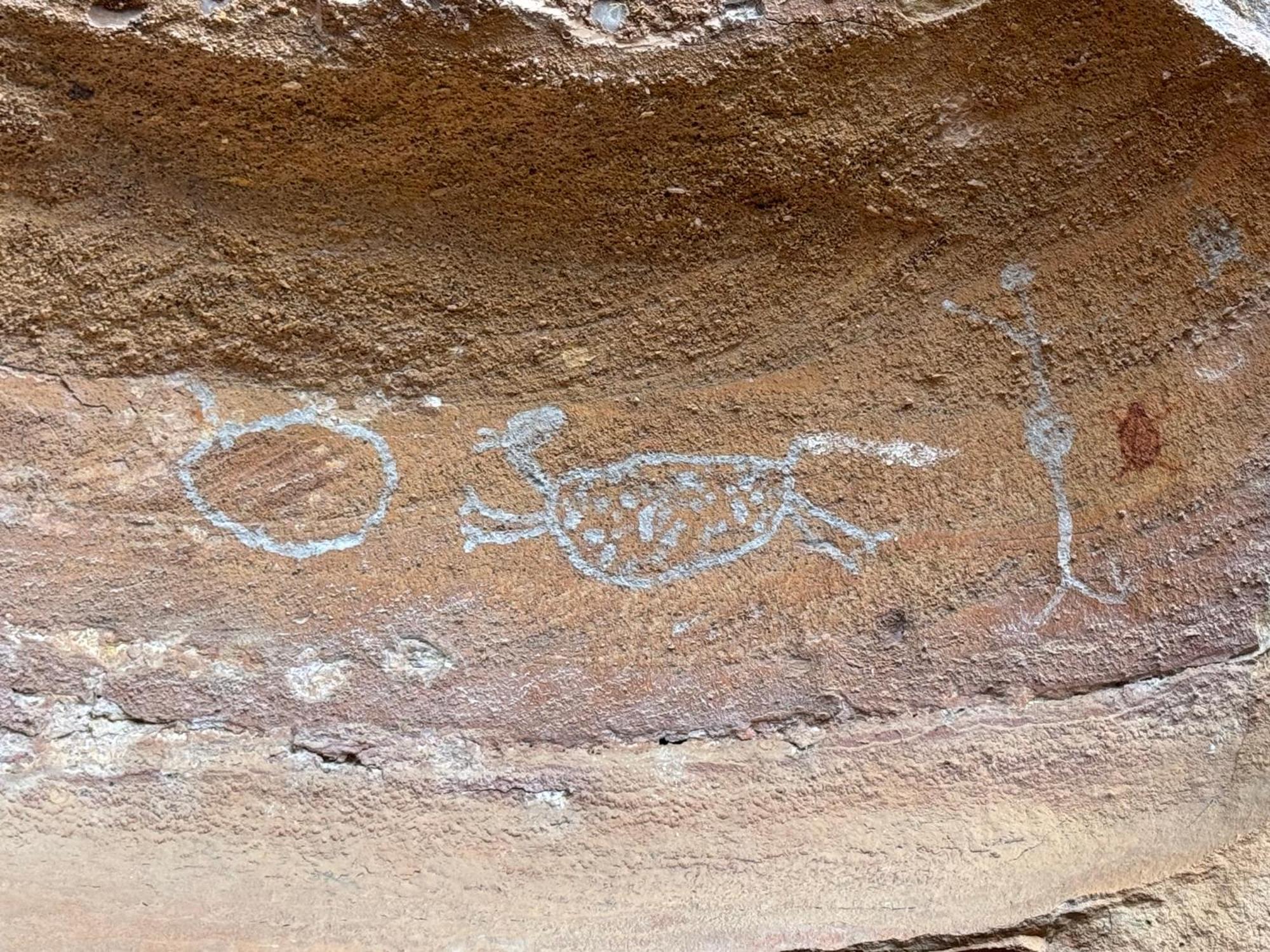 Casa Barreirinho Parque Nacional Serra Da Capivara Coronel Jose Dias Eksteriør bilde