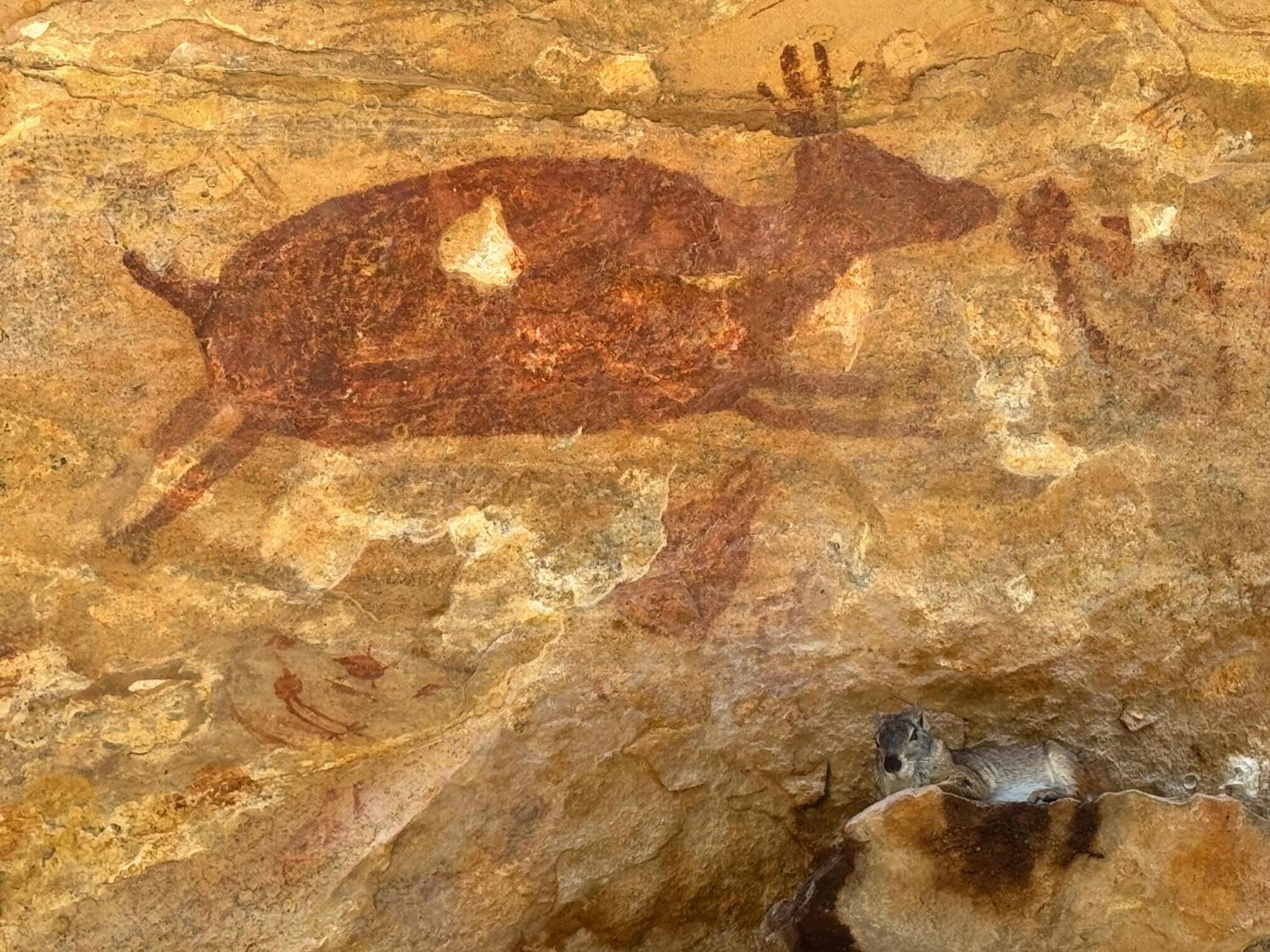 Casa Barreirinho Parque Nacional Serra Da Capivara Coronel Jose Dias Eksteriør bilde
