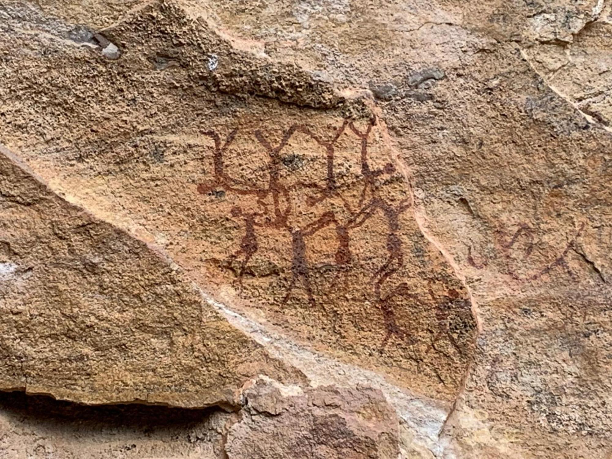 Casa Barreirinho Parque Nacional Serra Da Capivara Coronel Jose Dias Eksteriør bilde